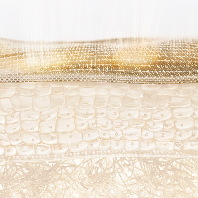 <p style="text-align: center;font-size:25px;line-height:28px;"><strong>IN THE STRATUM CORNEUM</strong></p>
<p style="text-align: center;font-size:18px;line-height:28px">Potent ingredients support barrier strength, boost skin’s natural ceramides and help prevent lipid peroxidation.</p>
